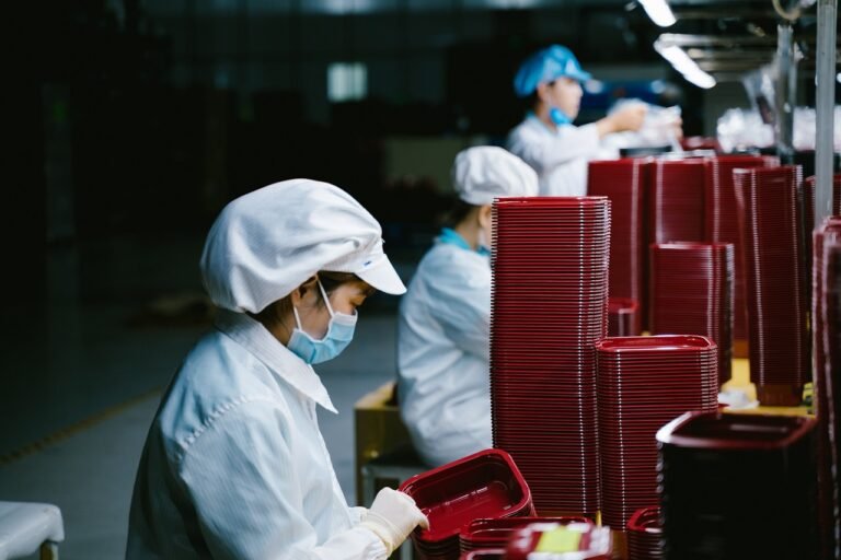 Mercato del lavoro 2025